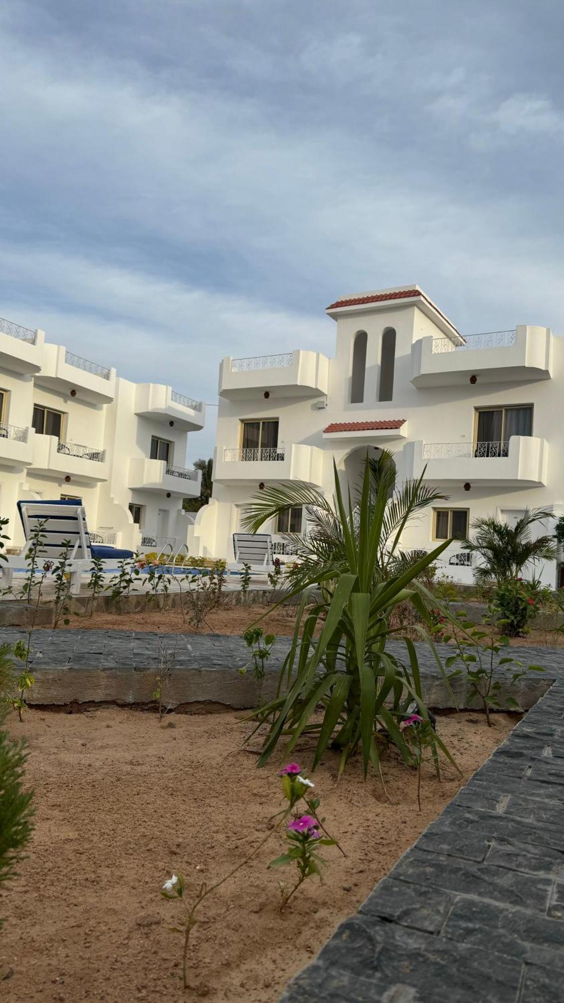 Desert Hotel ดาฮับ ภายนอก รูปภาพ